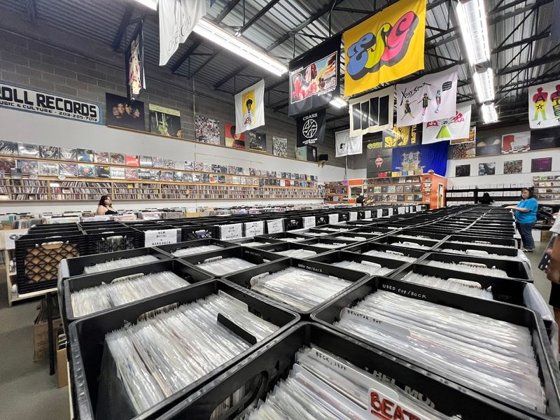 Vinyl Bins Worth Digging Through