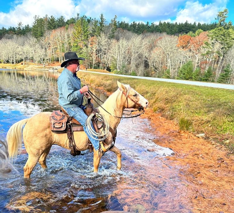 Blowing Rock Trail Rides