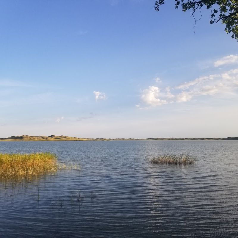 Big Alkali Wildlife Management Area, Valentine Area