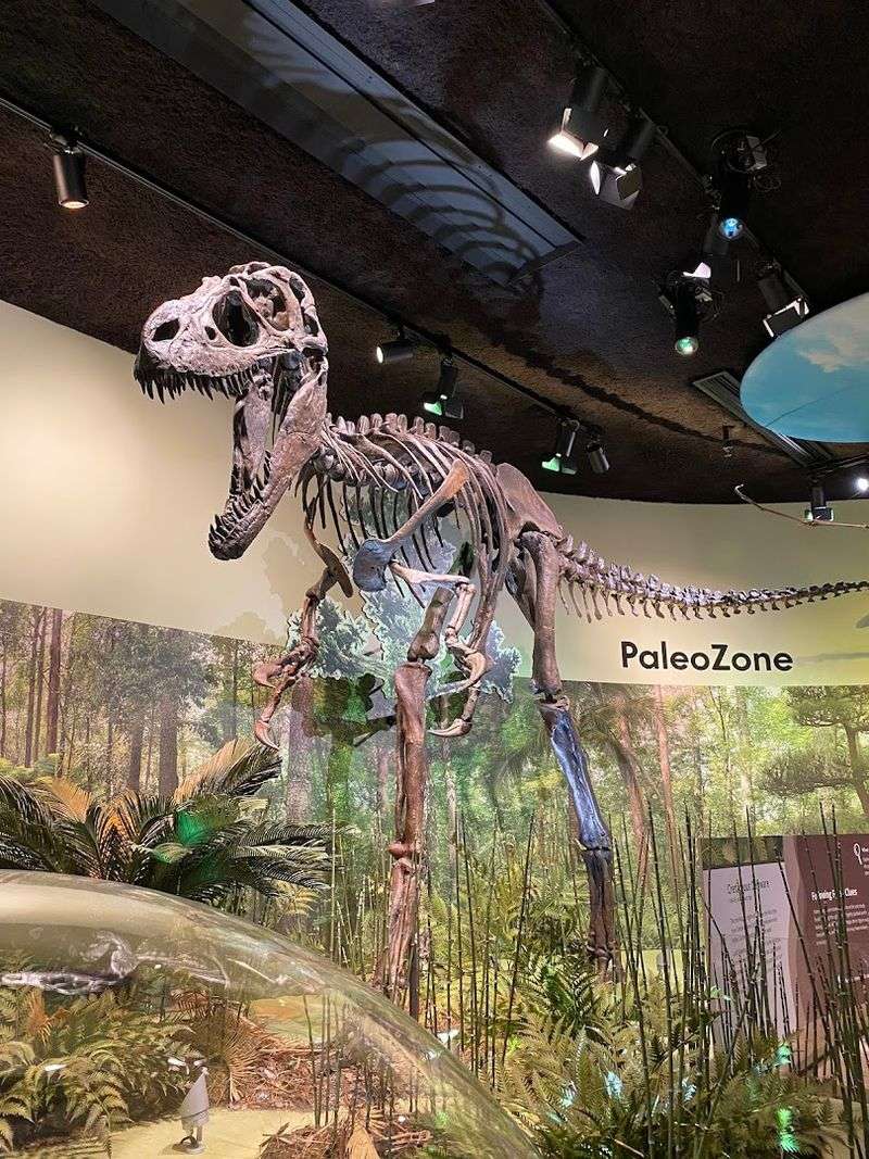 Delaware Museum Of Nature & Science, Wilmington