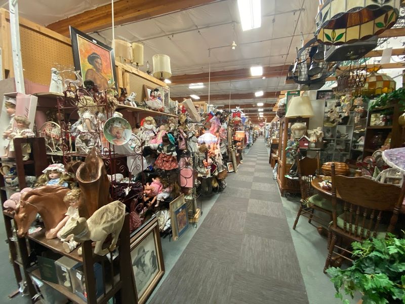 Collectibles And Curiosities Around Every Corner