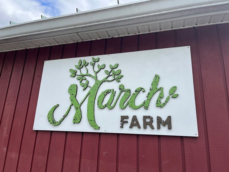 Try Fresh Bakery Favorites