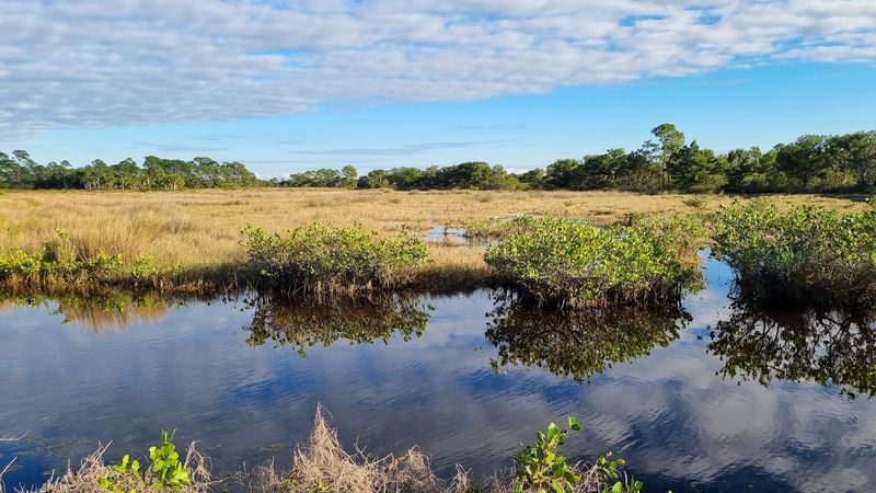 Why This Night Kayak Experience Is Worth Every Minute