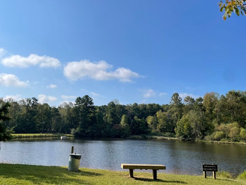 9 Dirt-Cheap Road Trip Destinations In North Carolina That Feel Like A Million Bucks - Decor Hint Occoneechee Mountain State Natural Area