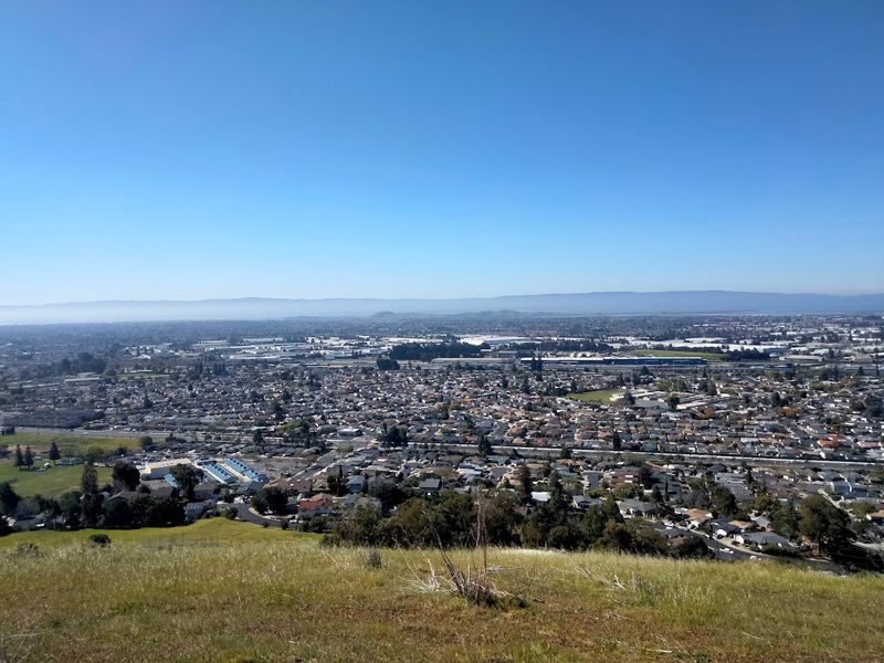 Bay Area Access Comes Without San Francisco Prices