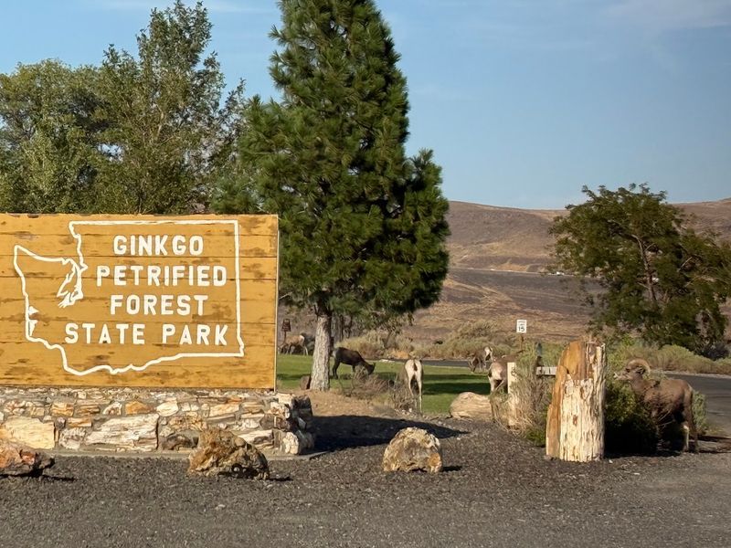 Ginkgo Petrified Forest State Park