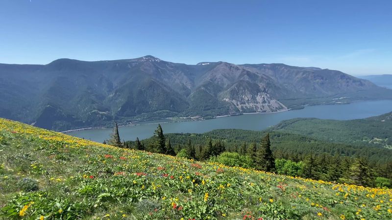 The Dreamy Town In Washington That's Perfect For Slow Living And Fresh Air - Decor Hint Dog Mountain Trail