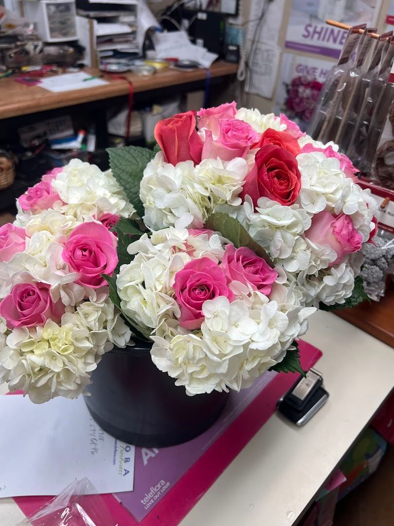 Nyren's Of New England Flower, Southington