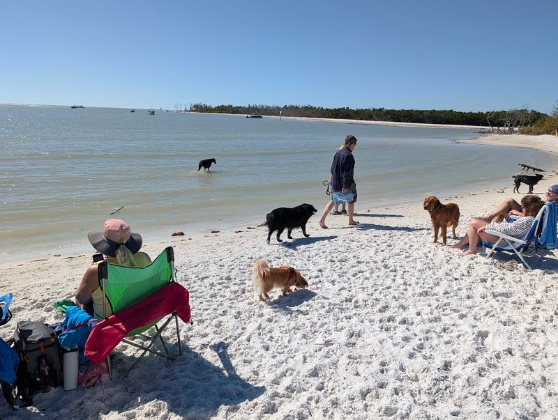 Dog Beach At Lovers Key, Bonita Springs