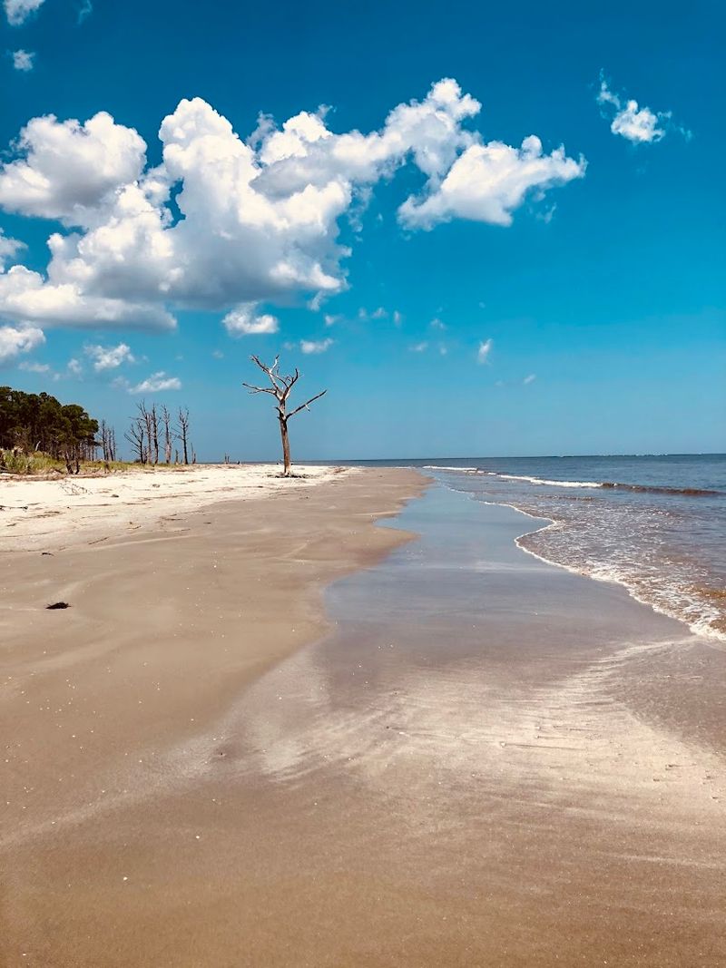 Ossabaw Island Beach