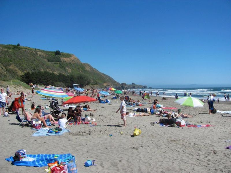 Make Time For A Picnic Near The Sand