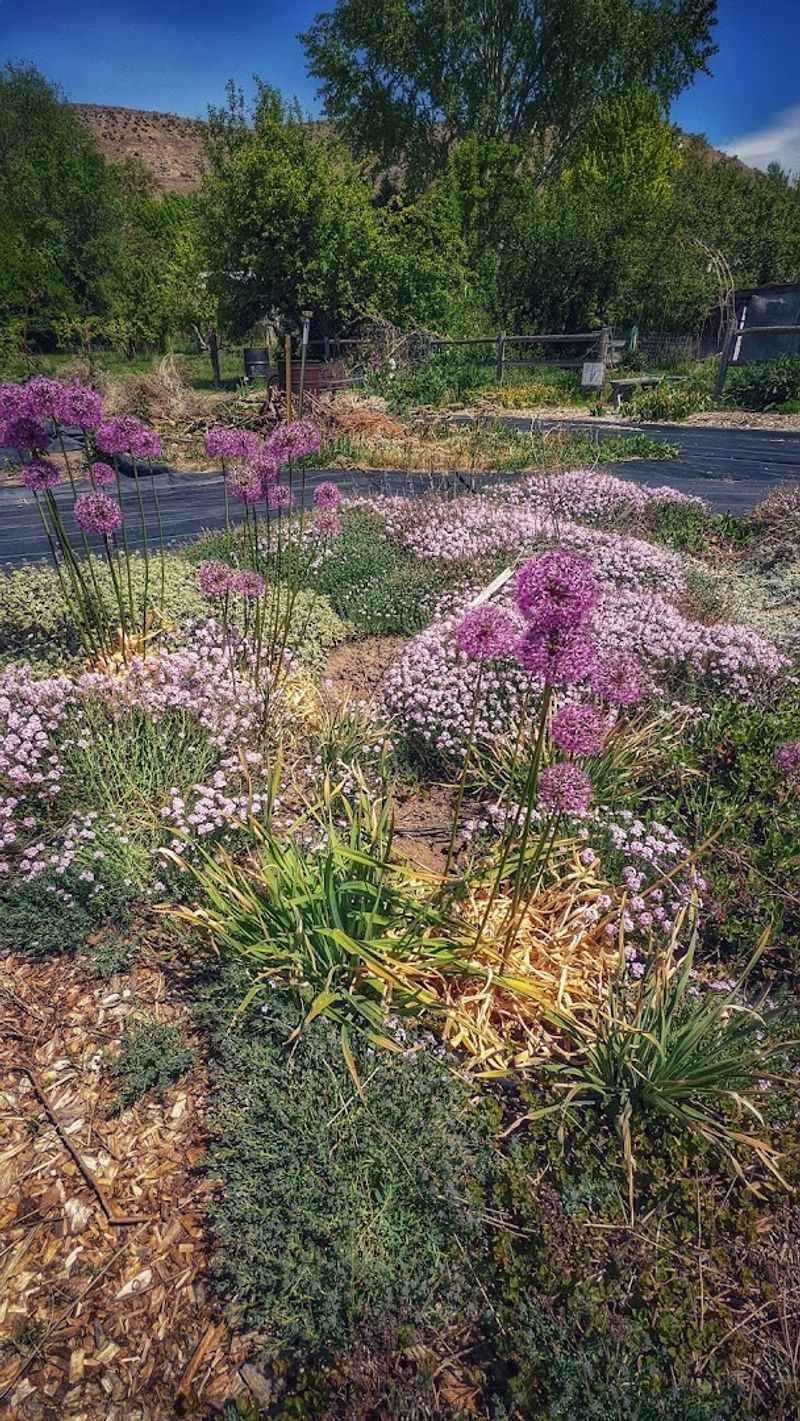 Wildlife That Comes With The Plants