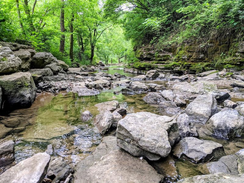 Cove Spring Park