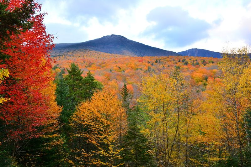 The New Hampshire Boardwalk That Takes You Deep Inside The Mountains - Decor Hint Best Time To Visit