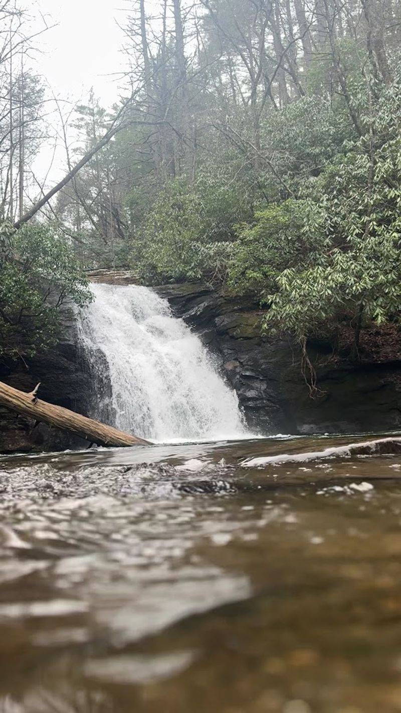 The Swimming Hole Has A Tropical Feel In The Mountains