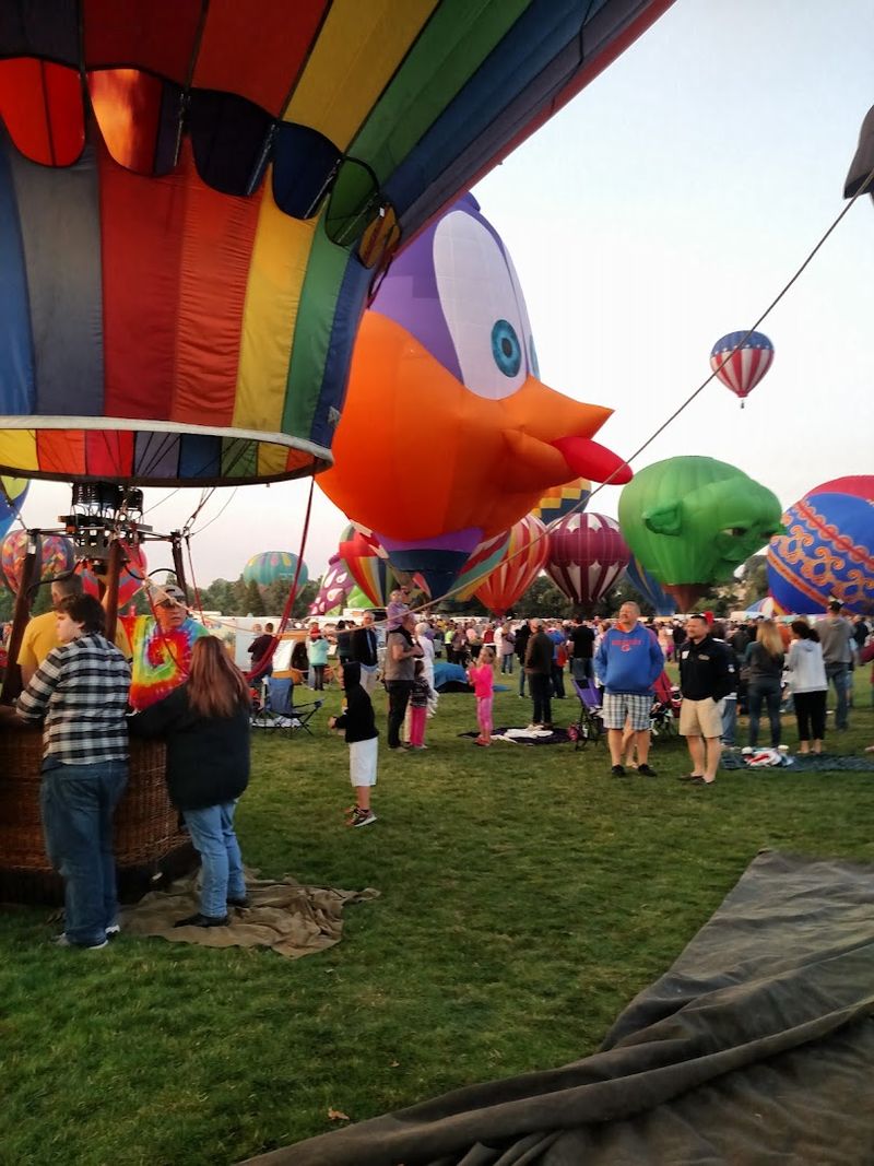 This Idaho Balloon Festival Fills The Boise Sky With Color In The Most Magical Way - Decor Hint Downtown Boise Gets A Sky Show Before Breakfast