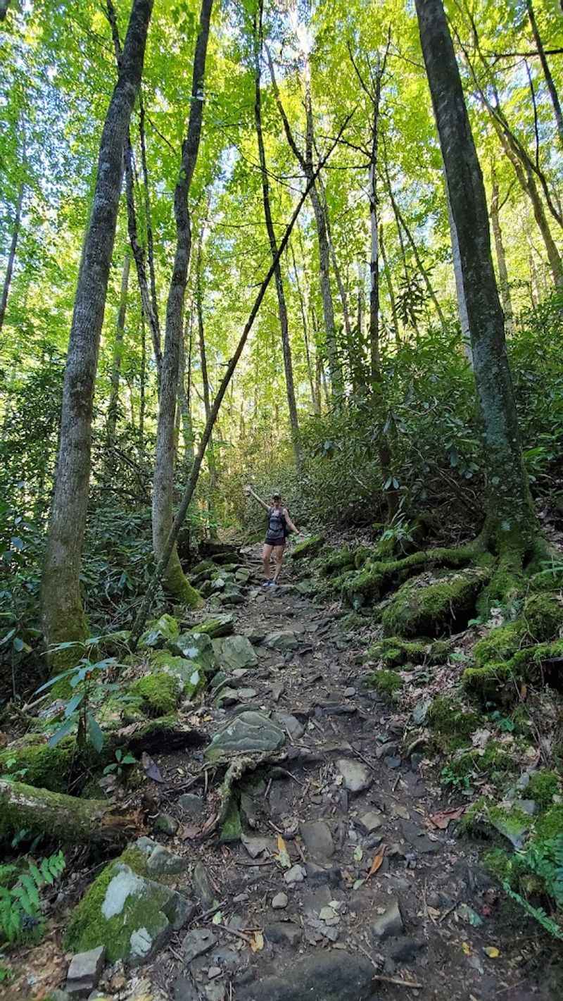 Fall Foliage Makes This Hike Absolutely Spectacular