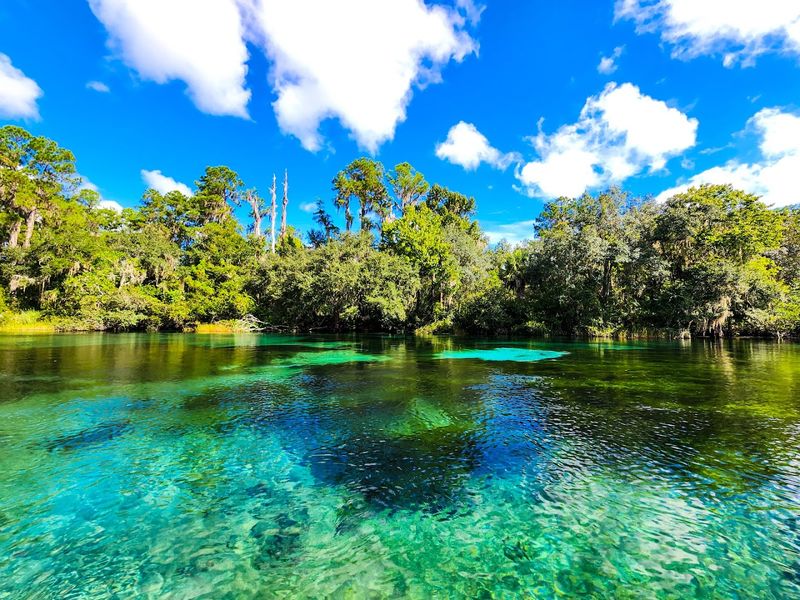 The Florida Parks Where A Summer Outing Feels Like The Easiest Plan Ever - Decor Hint Rainbow Springs State Park