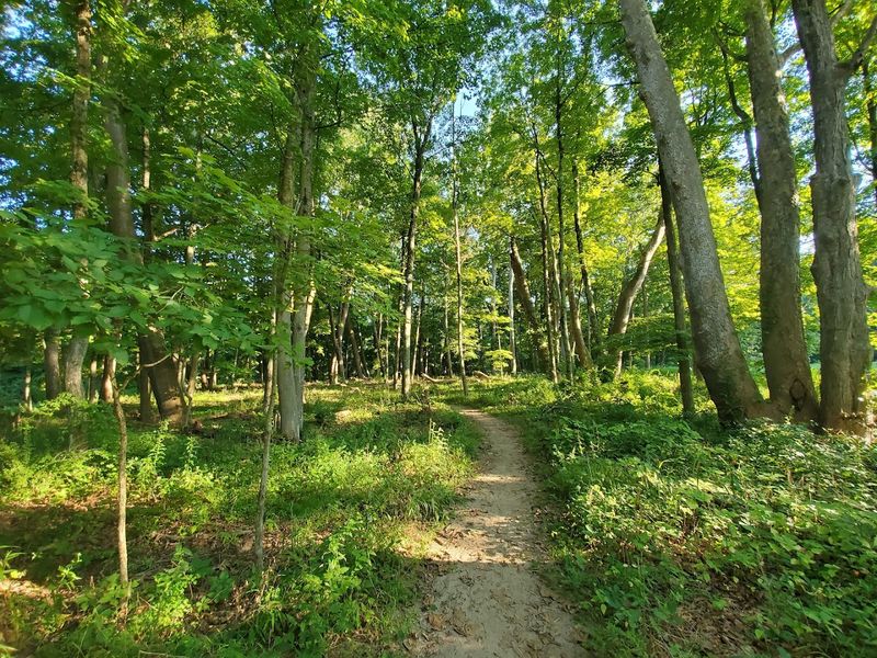 Bent Of The River Audubon Center, Southbury