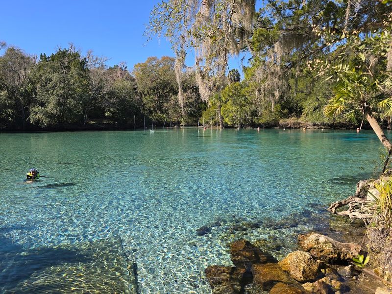 10 Florida Trails Where Easy Walks Lead To Surprisingly Unforgettable Views - Decor Hint Ocala National Forest Trail