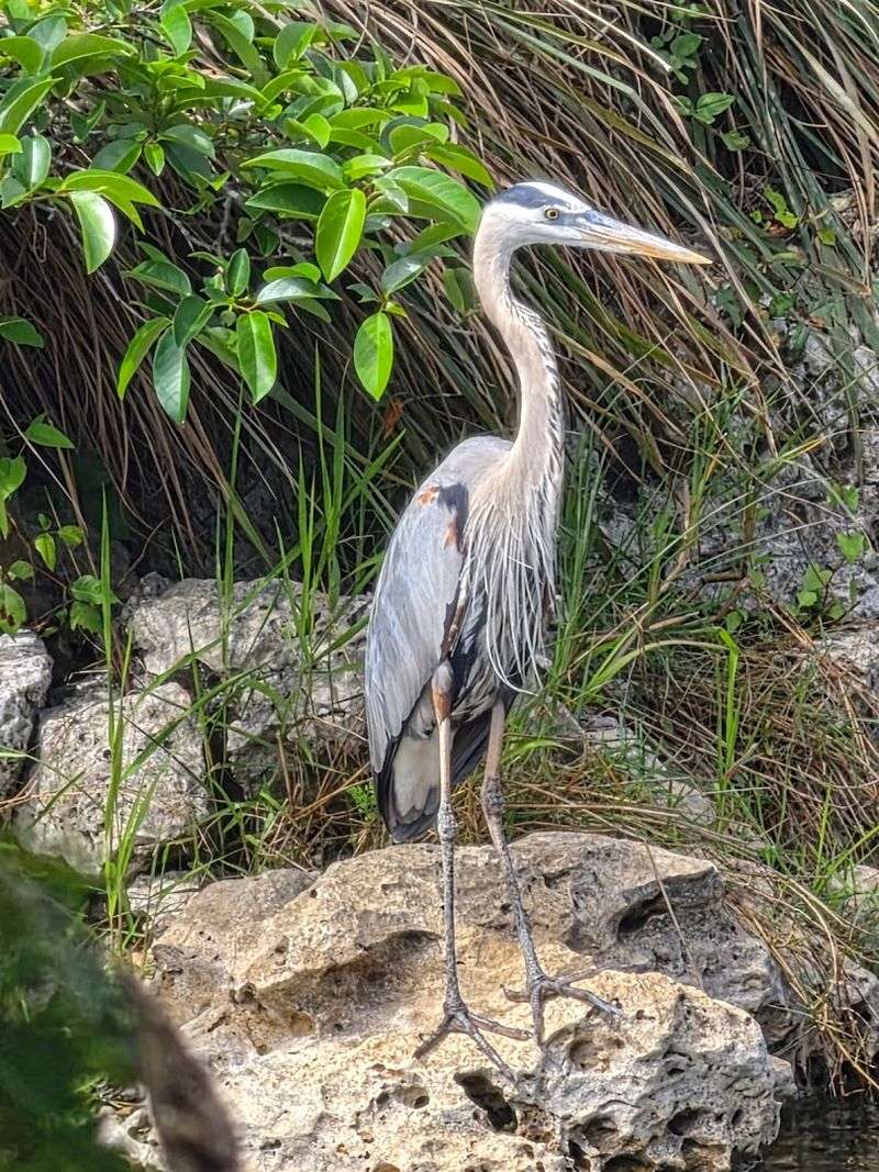 Big Cypress National Preserve Oasis Visitor Center