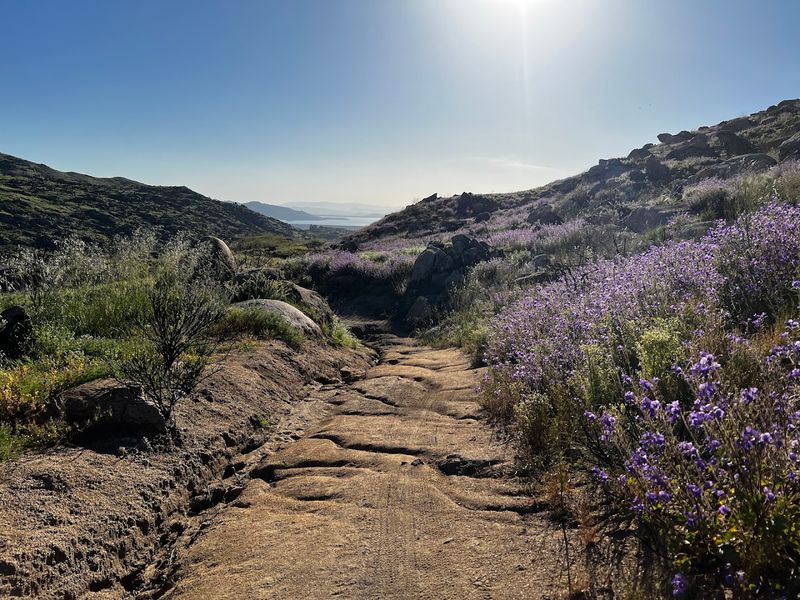 The California City Where $2,000 A Month Can Cover Rent, Groceries, And Basic Utilities - Decor Hint Simpson Park Brings A Wilderness Preserve Close To The City