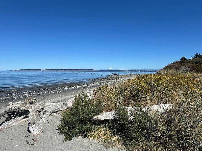North Beach County Park