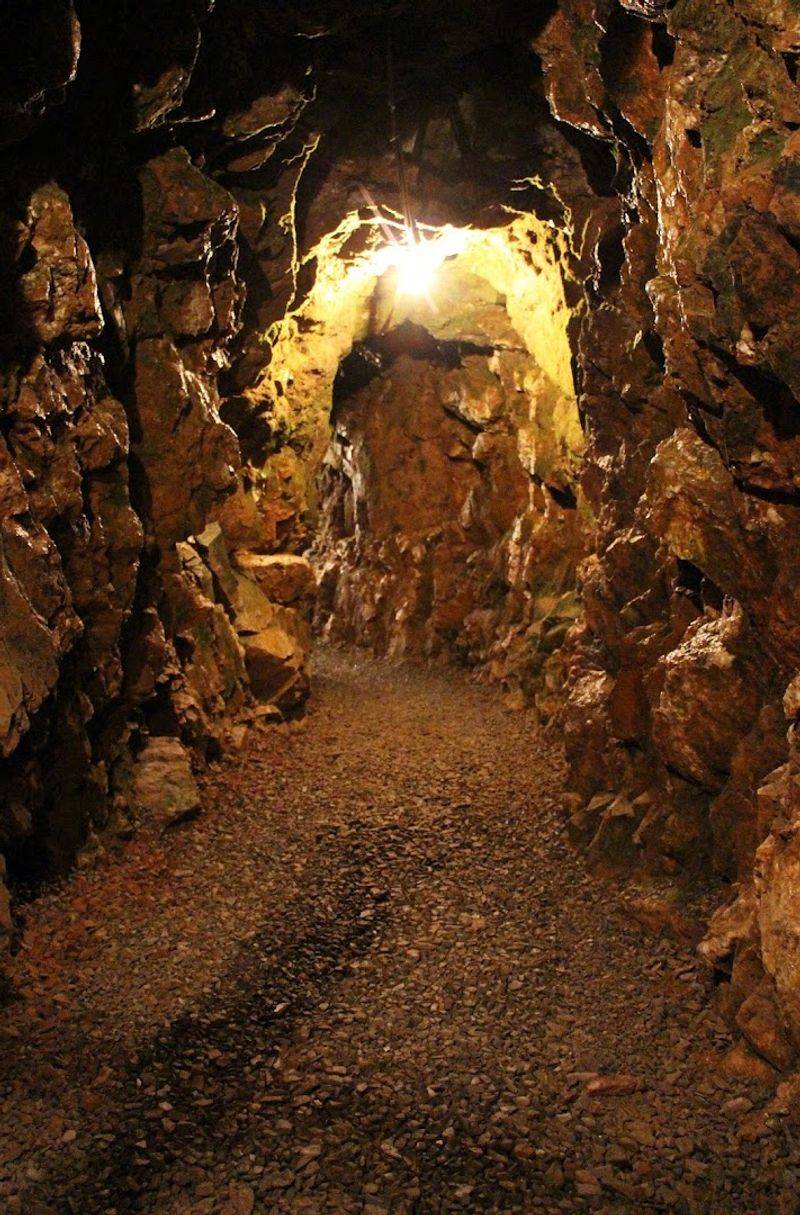 9 Dirt-Cheap Road Trip Destinations In North Carolina That Feel Like A Million Bucks - Decor Hint Reed Gold Mine