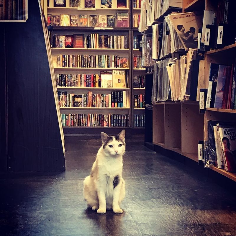 Planning Your Visit To This Bookstore