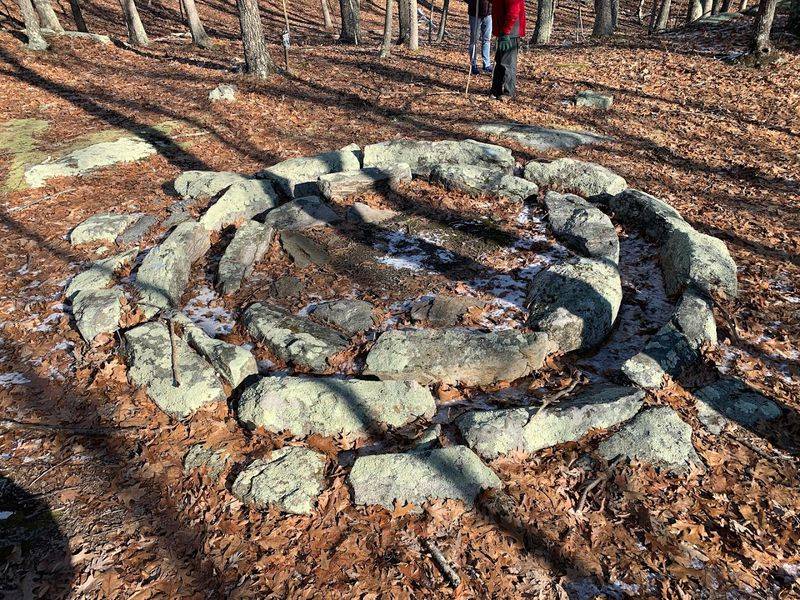 Look For Foundations Hidden In The Forest