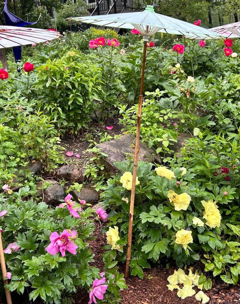 Rows Of Color Worth Slowing Down For