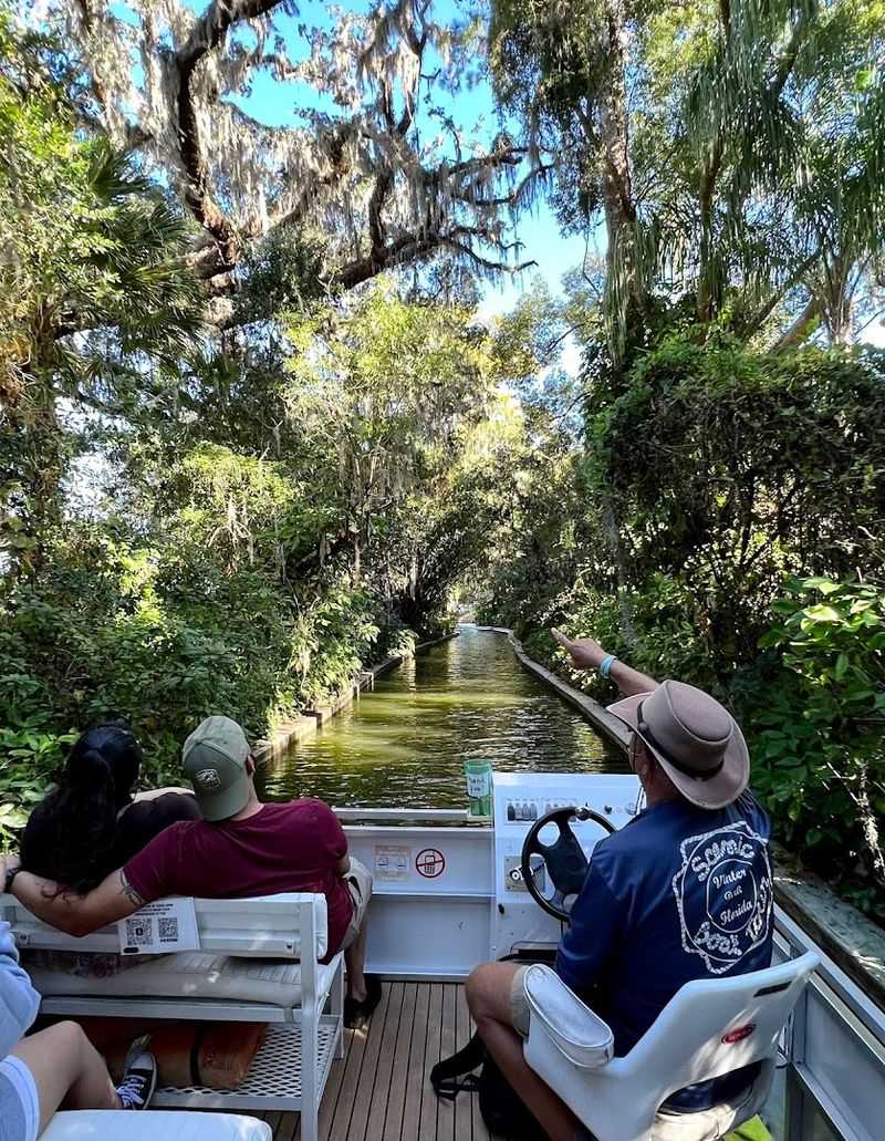 Gliding Through On A Guided Tour