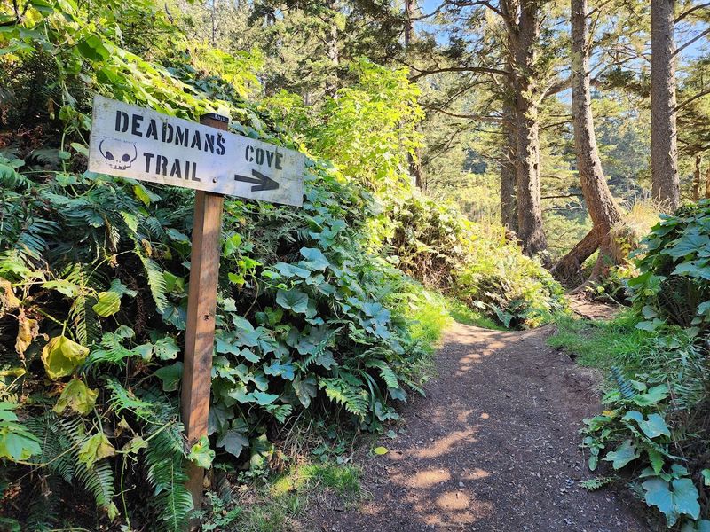 Hiking Down To The Beach