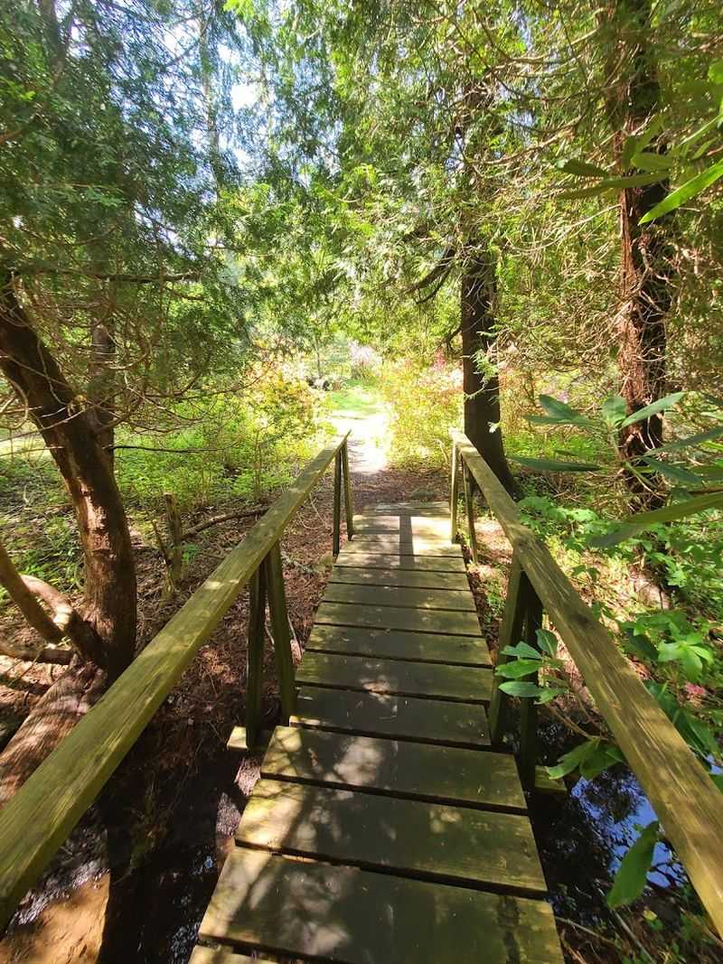 This Rhode Island Garden Feels Like A Quiet World Of Its Own - Decor Hint Navigating The Trails Without Stress