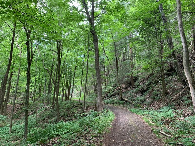 Trails Worth Every Step