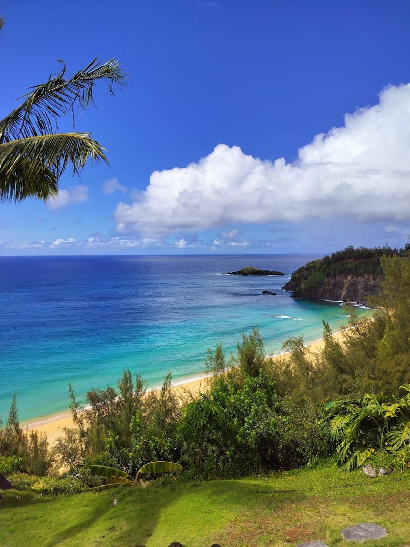 The Best Time To Visit And Why It Matters