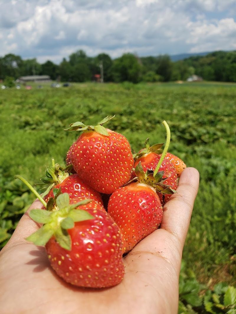 Why A Farm Visit Like This One Stays With You