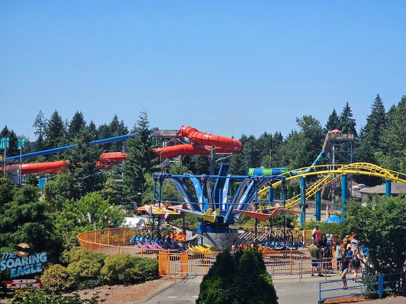 Why This Is The Summer You Should Go