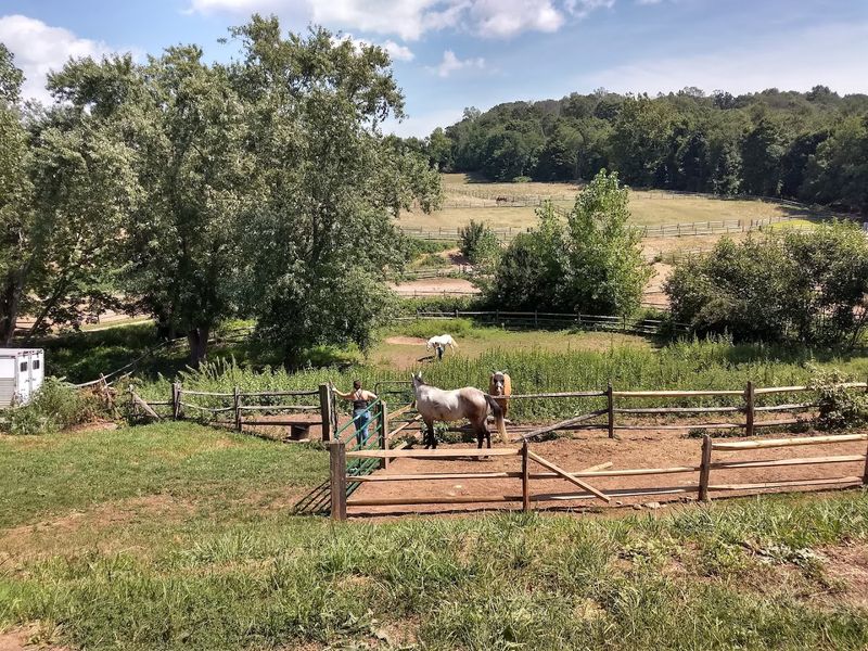 Durham's Countryside Adds To The Escape