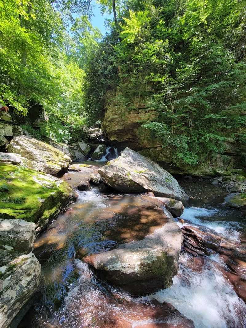 The Beautiful Scenery You'll See Along The Trail