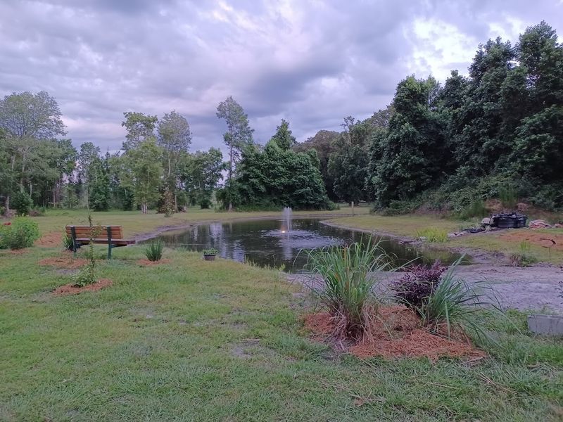 The Grounds And Natural Setting