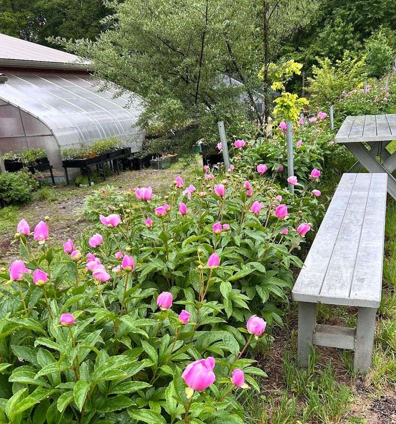 A Pretty Stop For Garden Inspiration