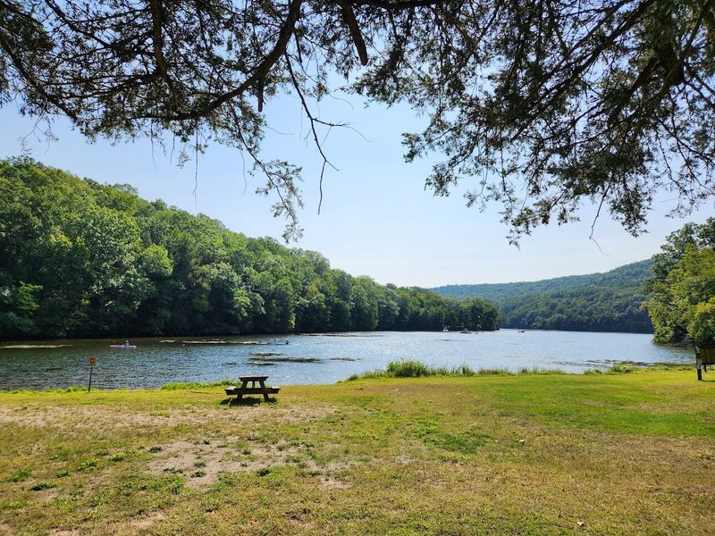 Why Picnics Work So Well Here