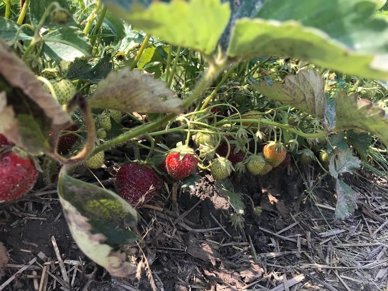 Why This Kind Of Farm Experience Sticks With You
