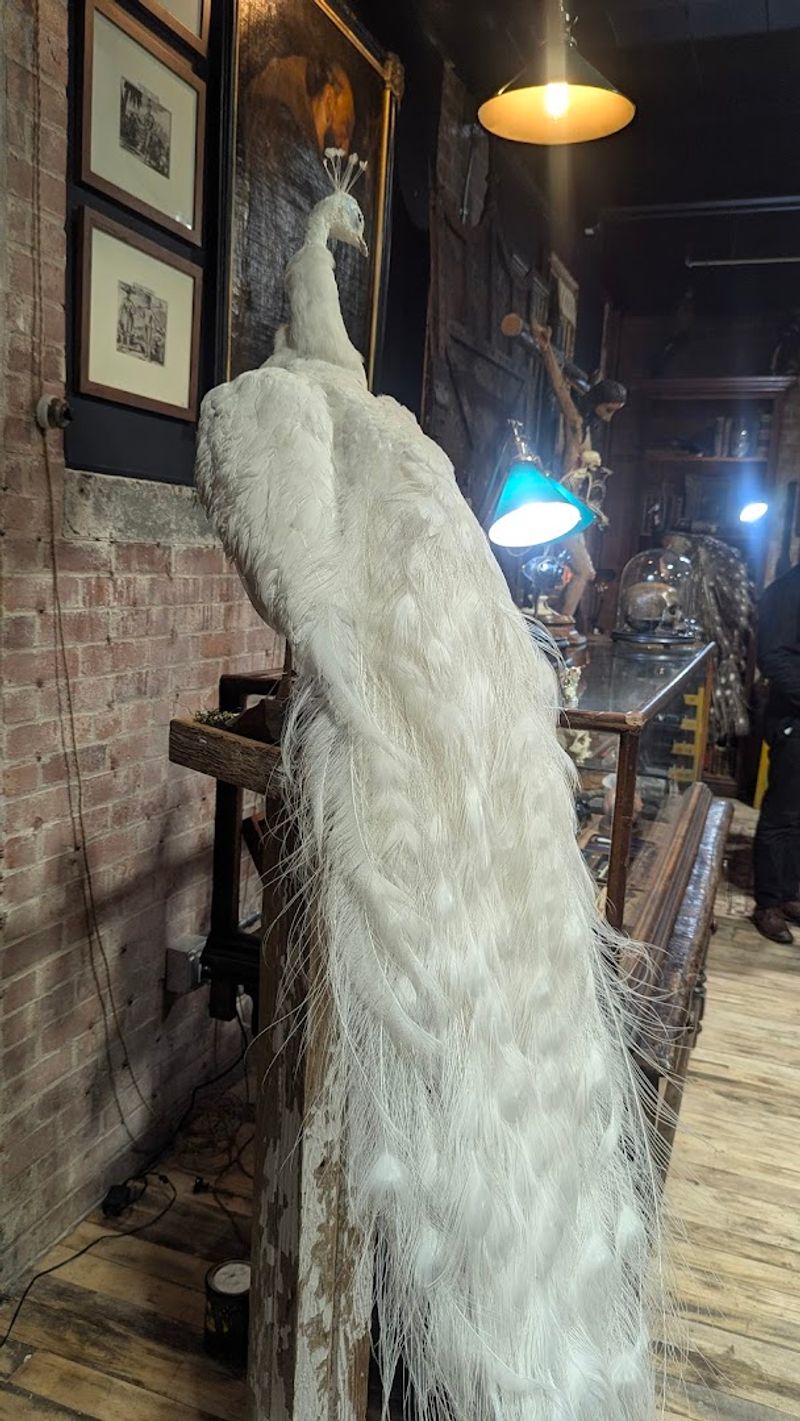 A Connecticut Antique Shop With The Kind Of Odd Finds You Won't See Anywhere Else - Decor Hint Why This Shop Feels Unlike Anywhere Else