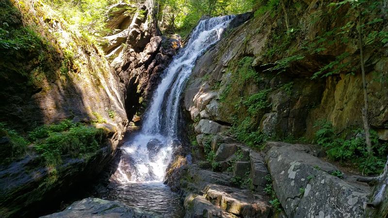 A Peaceful Spot For Nature Photos