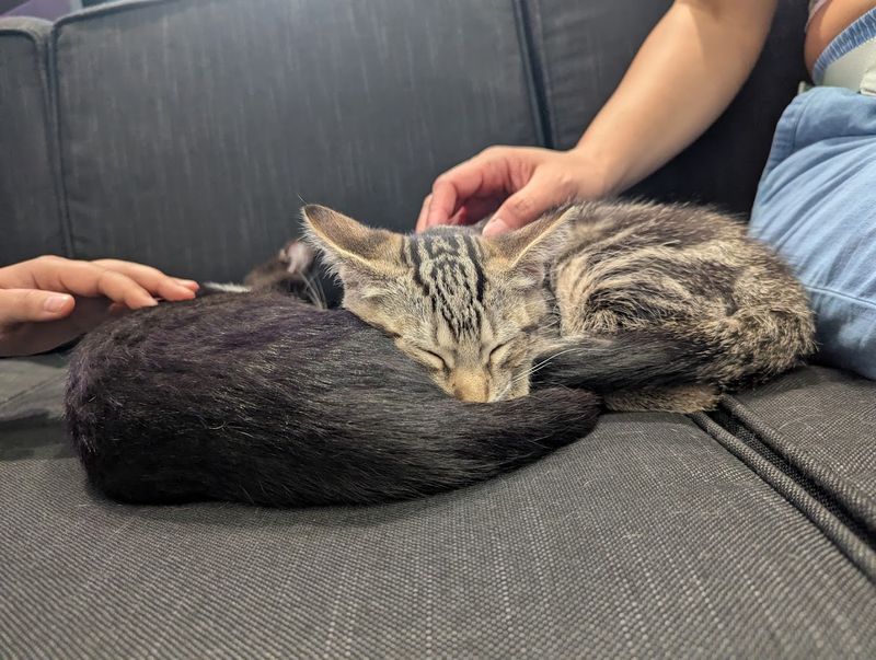 A Rescue Mission Disguised As A Good Time