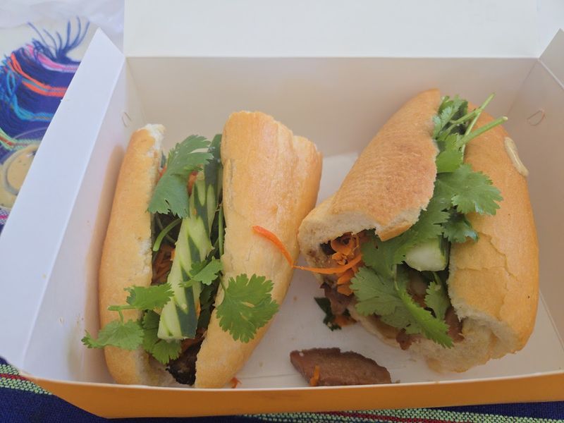 The Vietnamese Influence
