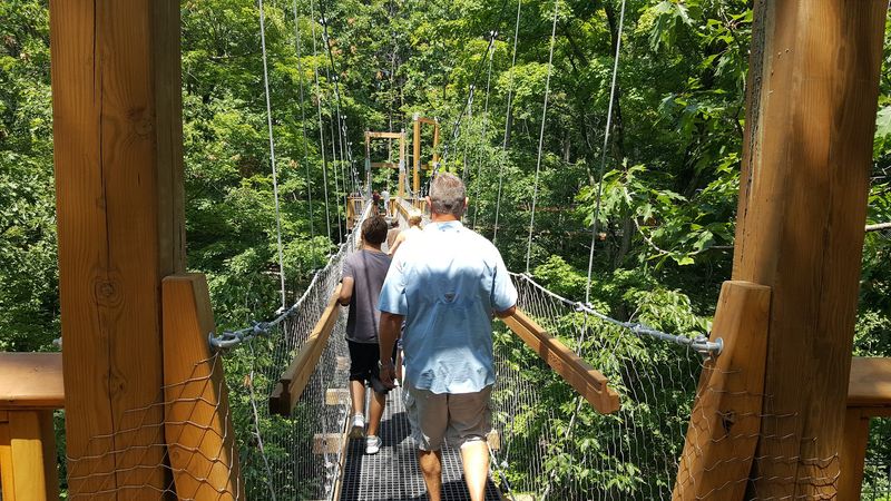 The Canopy Walk