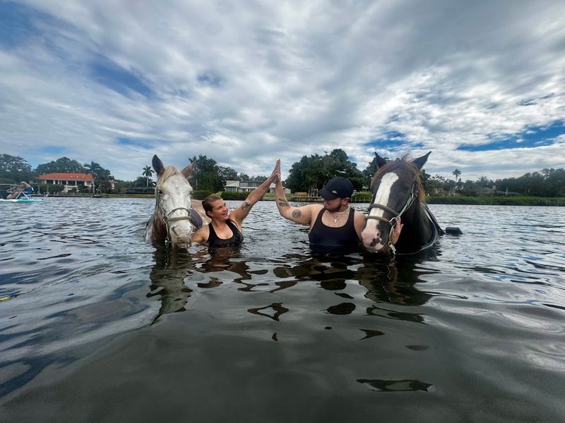 The Horses That Steal The Show